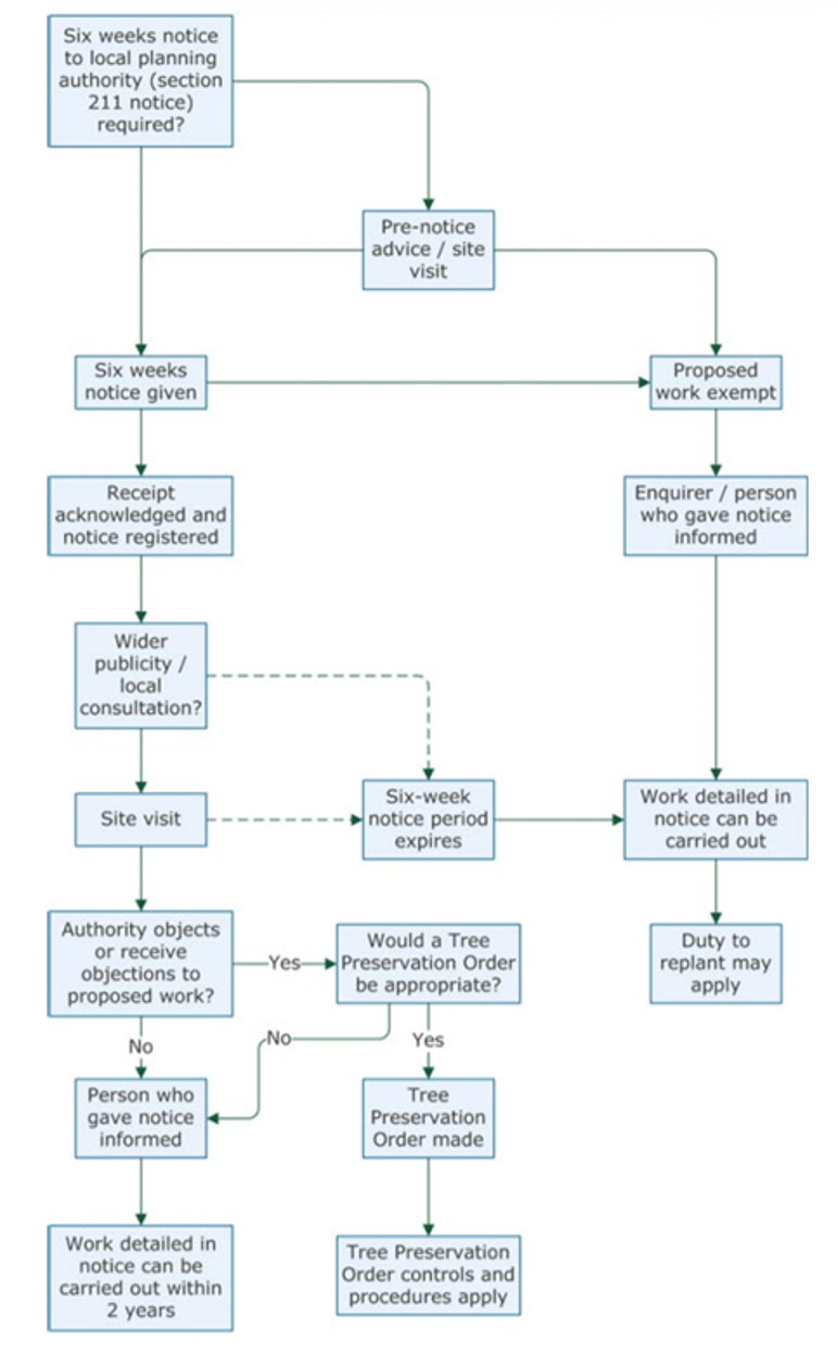 Decision making Process for notices for work to trees in a conservation area flow chart